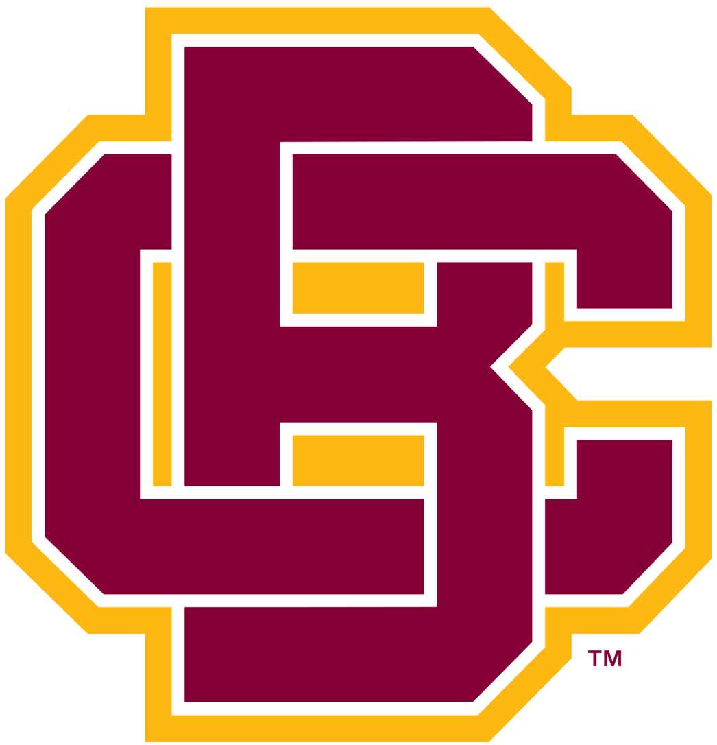 Bethune-Cookman Wildcats 2016-Pres Primary Logo iron on transfers for T-shirts
